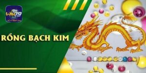 Rồng bạch kim được áp dụng phổ biến trong chơi lô đề