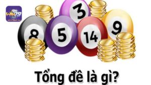 Tìm hiểu tổng đề là gì?